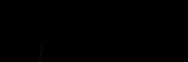 madison_bijold Profile Banner