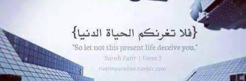 muhammadgamal61's profile banner image