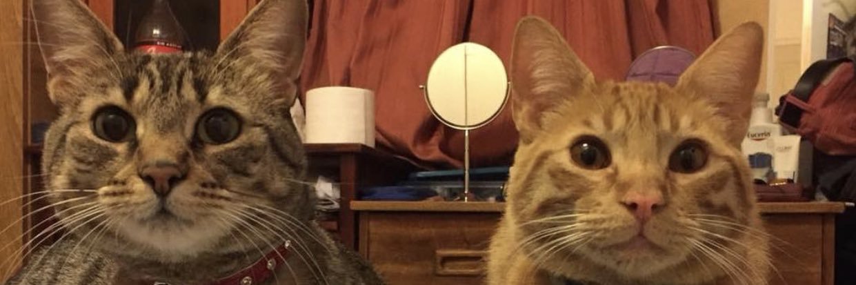 Mike banner