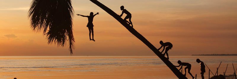 sunshine 🌻 banner