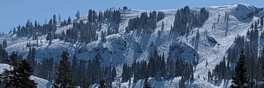 Cheryl Phillips, MD 🇺🇦 Слава Україні banner