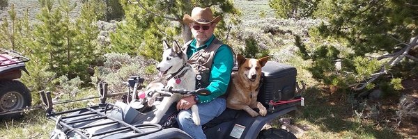 swifted Profile Banner