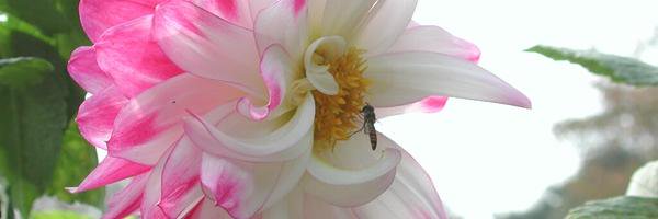 ソウサンズ banner