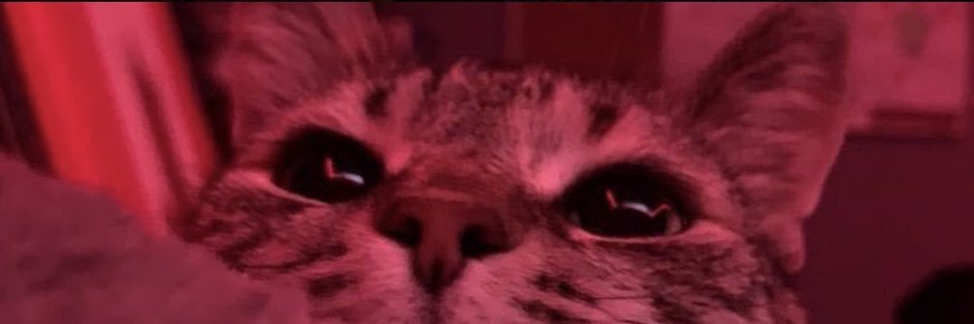 cathysofm's profile banner image