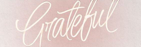 TiffRLongoria's profile banner image