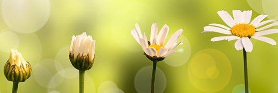 CLGRamirez's profile banner image