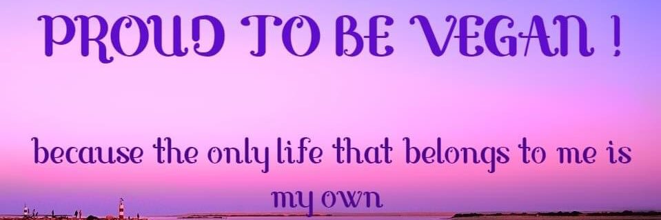 LimestoneLady's profile banner image