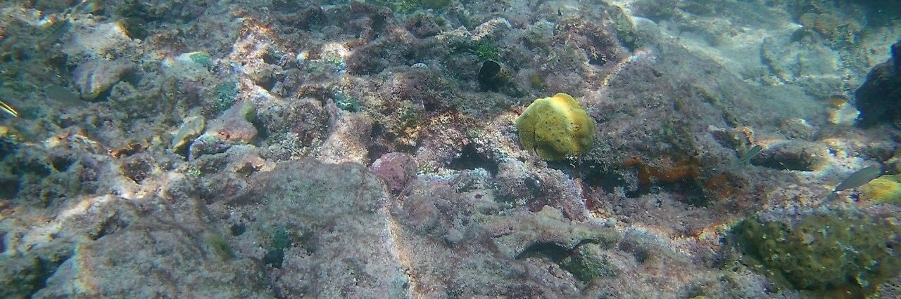 Mauro Colombo banner