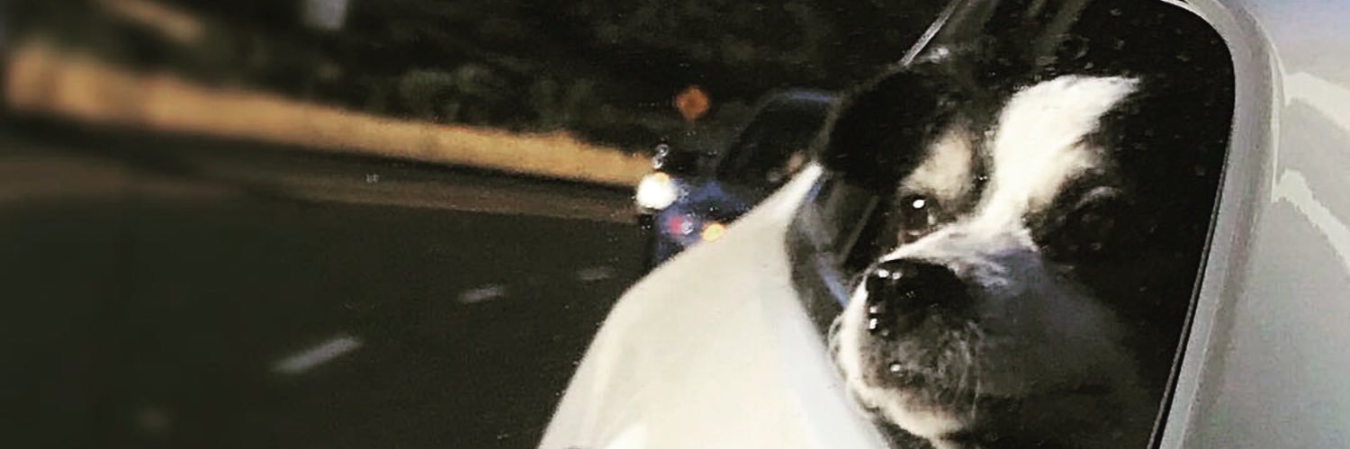 ⭐J.B.⭐️ banner