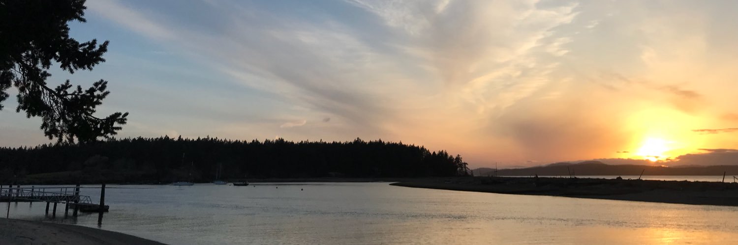 nickster4's profile banner image