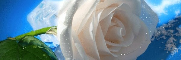 MaseMorenilla's profile banner image