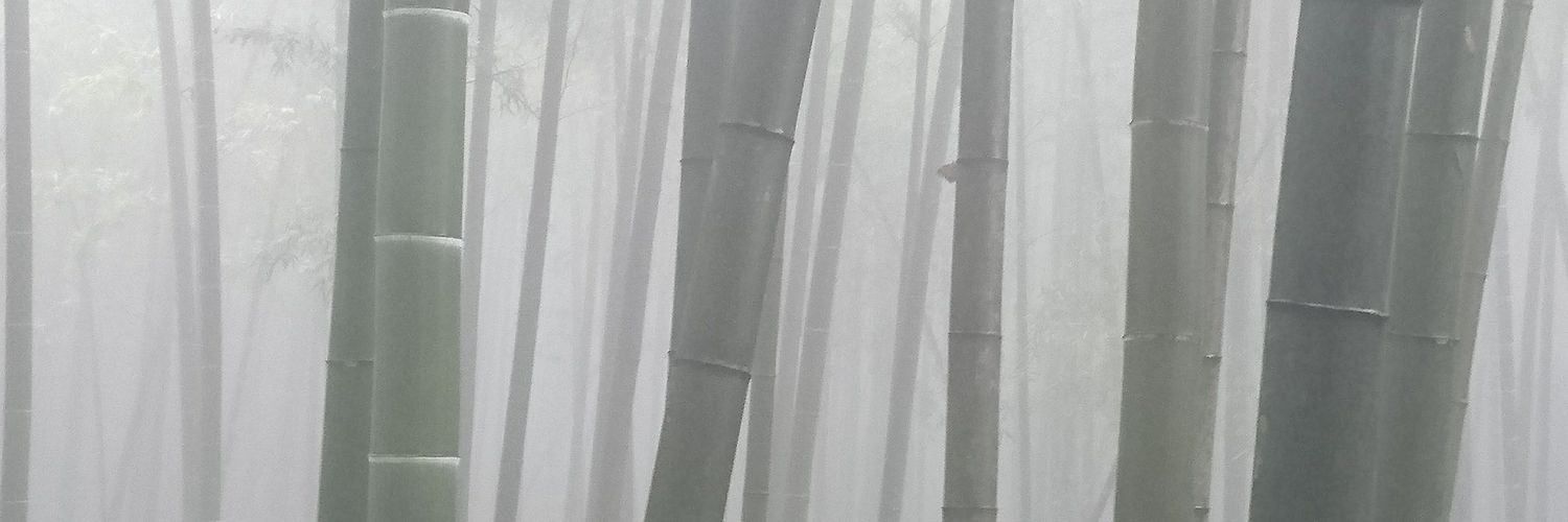 Emily Shepard banner