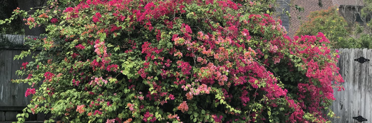 MaryAnn Jones banner