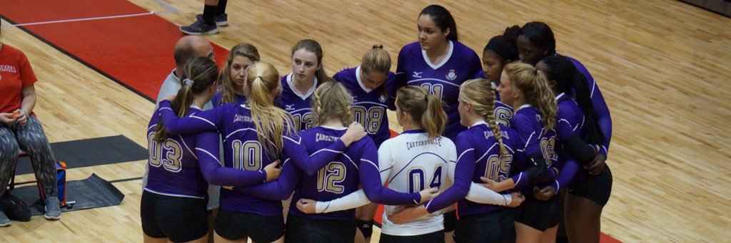 cartersville_vb's profile banner image