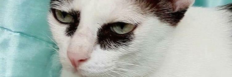 plzforgotme's profile banner image