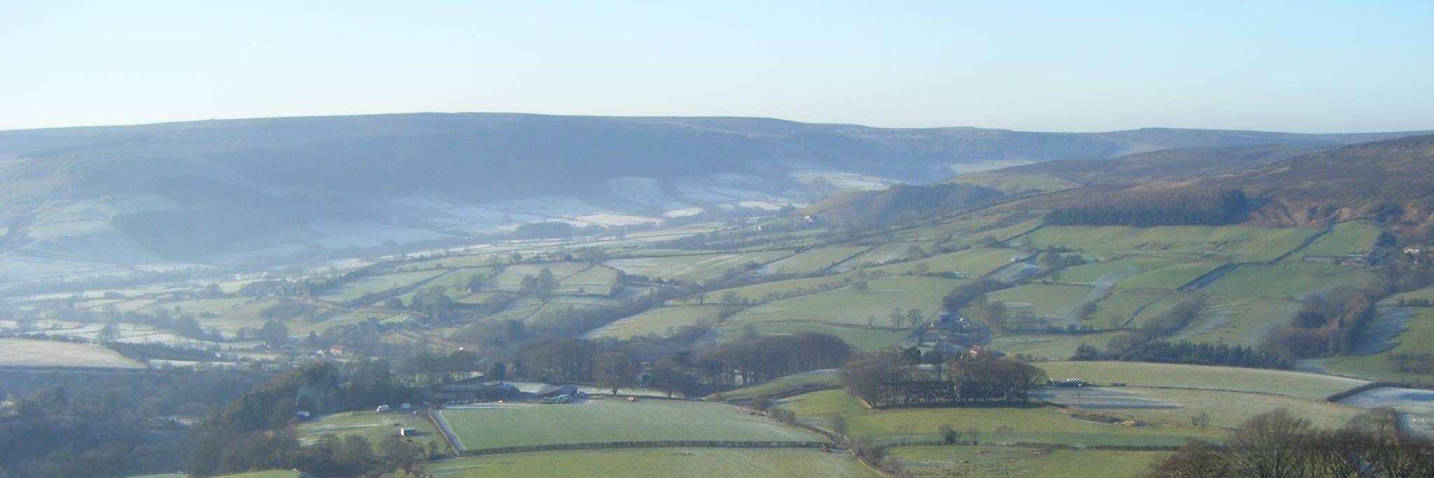StokesleyVets's profile banner image