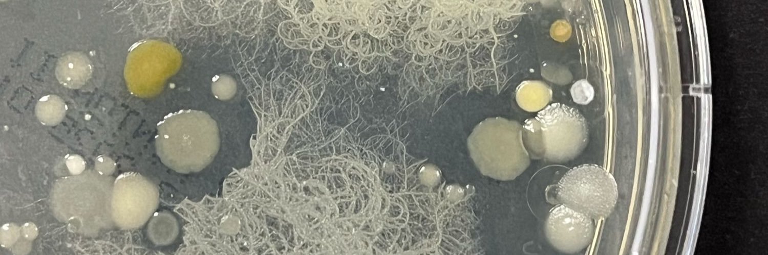 Microceutico's profile banner image