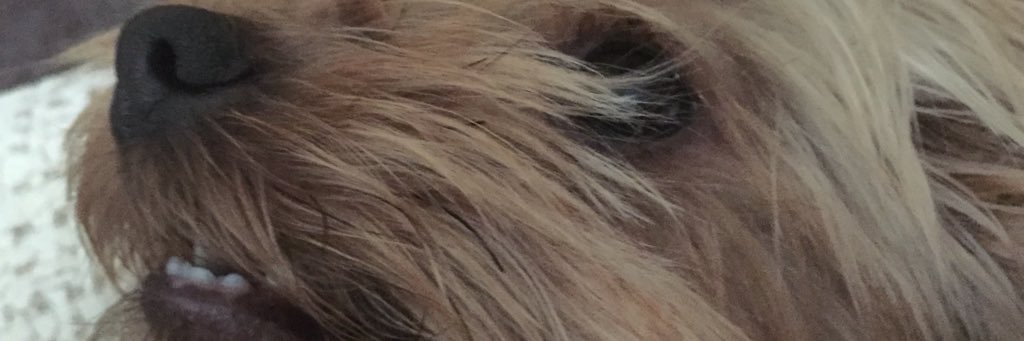 RamonPazzi's profile banner image
