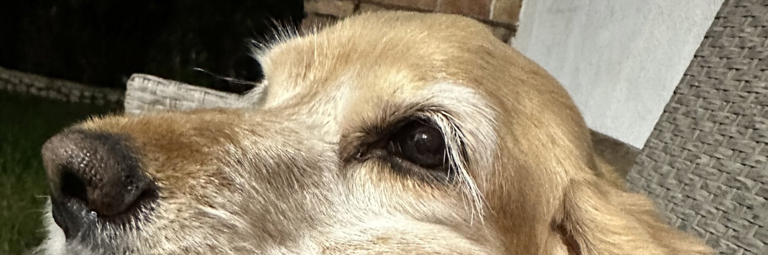 LuisPipe10's profile banner image