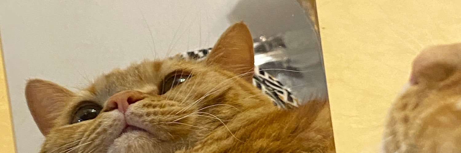 calvincsm's profile banner image