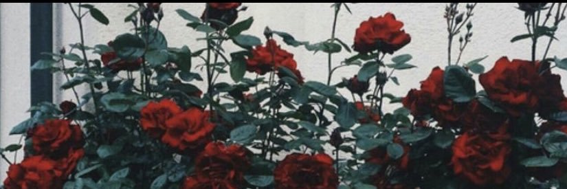 Quetzie_03's profile banner image