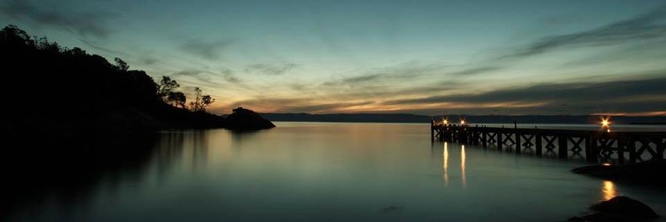 The Purple Cobra 🦅 banner