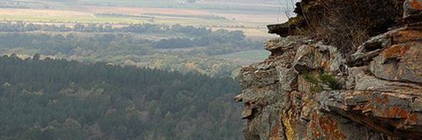 CarolynColson Profile Banner