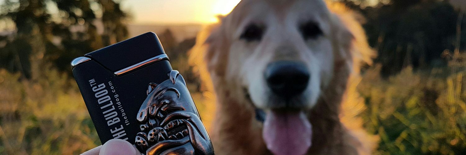 silverstino's profile banner image