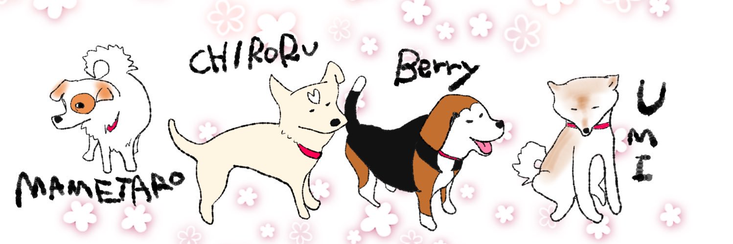 chiro_umi's profile banner image