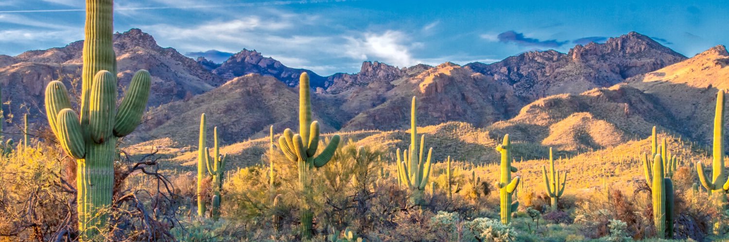 𝕱𝖆𝖎𝖓 🤬 banner