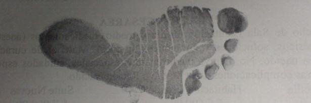 racsOmarM's profile banner image