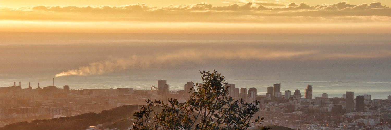 ayeste8's profile banner image