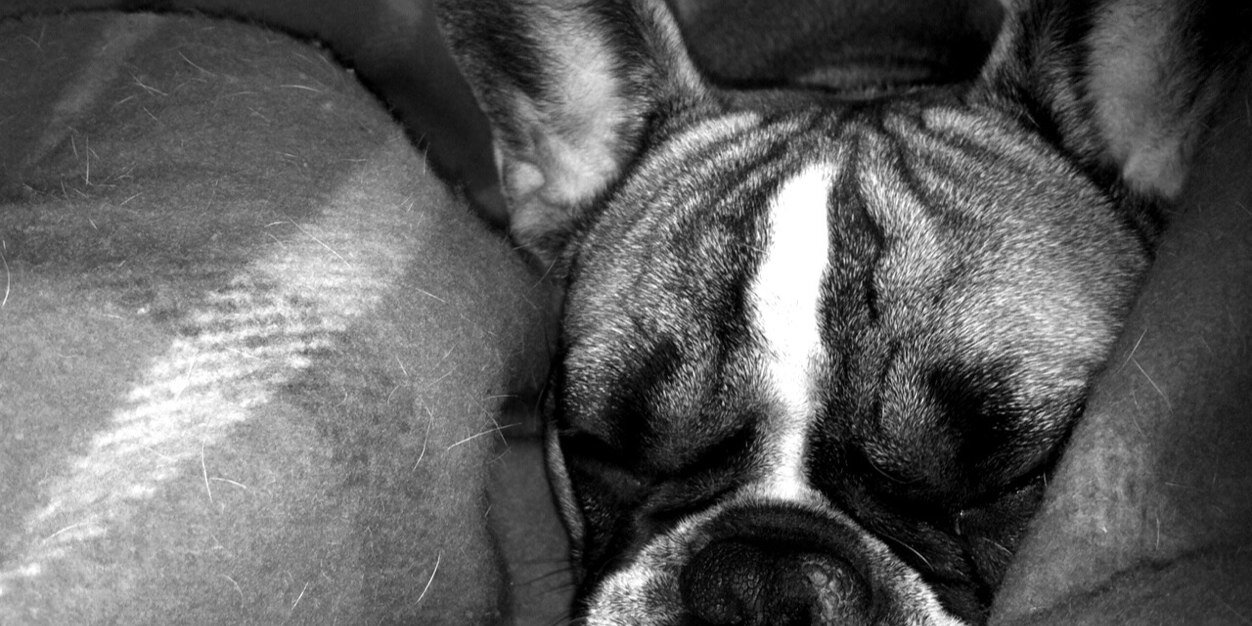 FerranGrau4's profile banner image