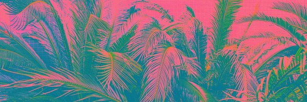 lolitascak3 Profile Banner