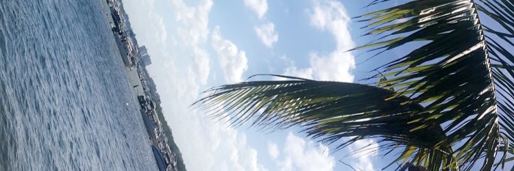 n_massani29's profile banner image