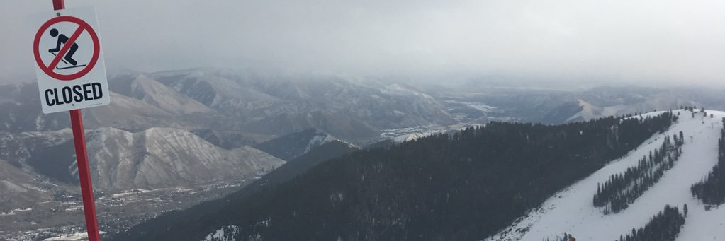 jangalich's profile banner image