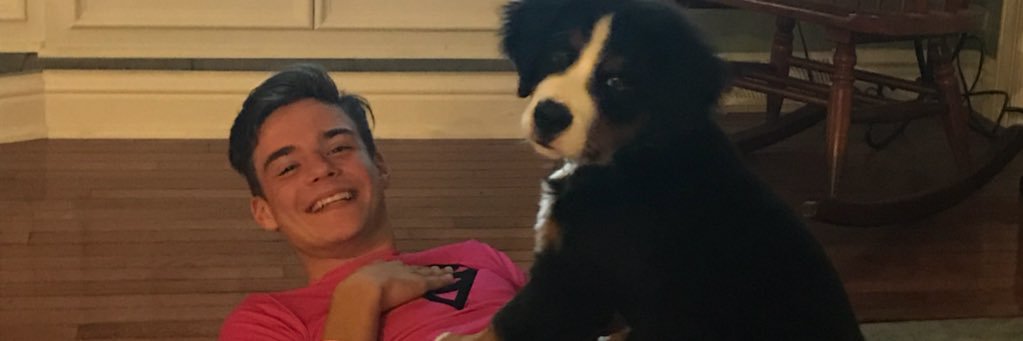 dtrasz's profile banner image