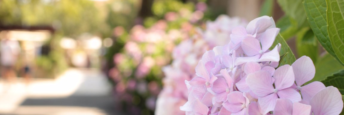 youyou_e's profile banner image