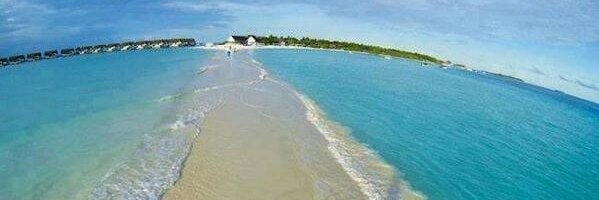 hatinyachieta's profile banner image