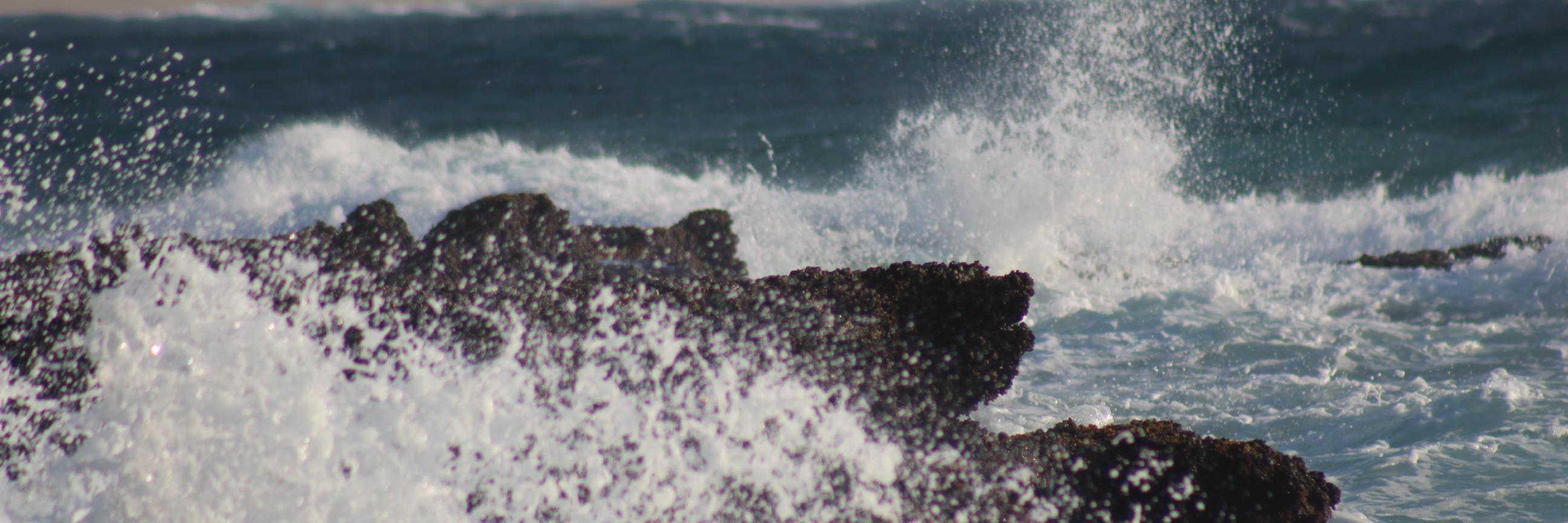 swetselaar's profile banner image