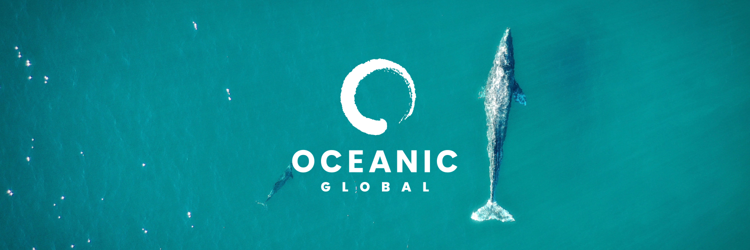 Oceanic Global Profile Banner