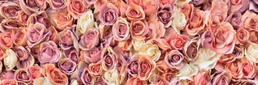 RayzaFernandes_'s profile banner image