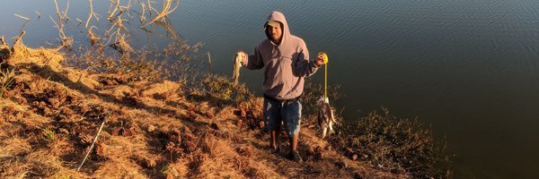BreezeCrypto Profile Banner