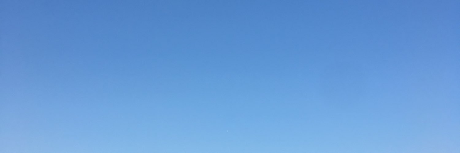 Chris Rienzo banner
