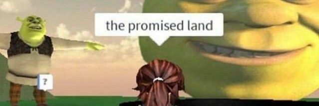 notcatarinap's profile banner image