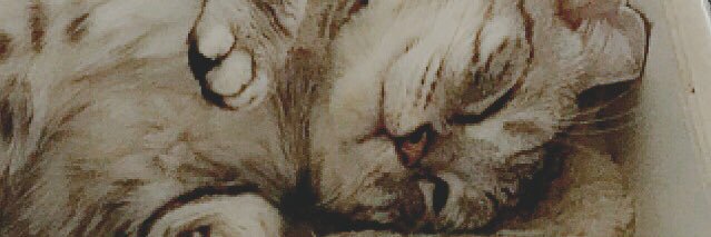 Jch9t's profile banner image