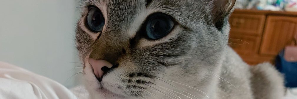 _Freganda's profile banner image