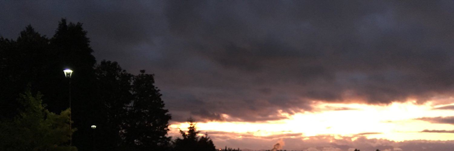 mereditharena's profile banner image