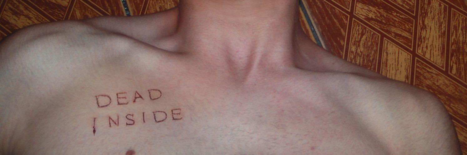 bode e bezerra banner