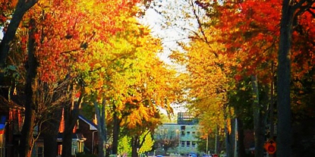 QHealthOutreach's profile banner image